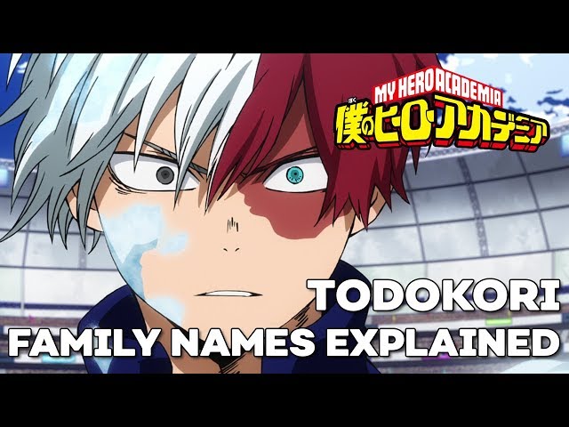 Shoto Todoroki Anime Series - Anime character names