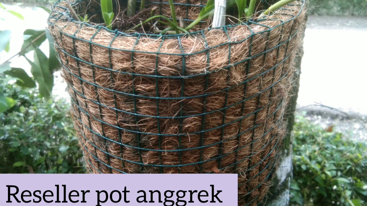  UNIK  WA 0821 3573 9632 agen pot  anggrek  supplier pot  