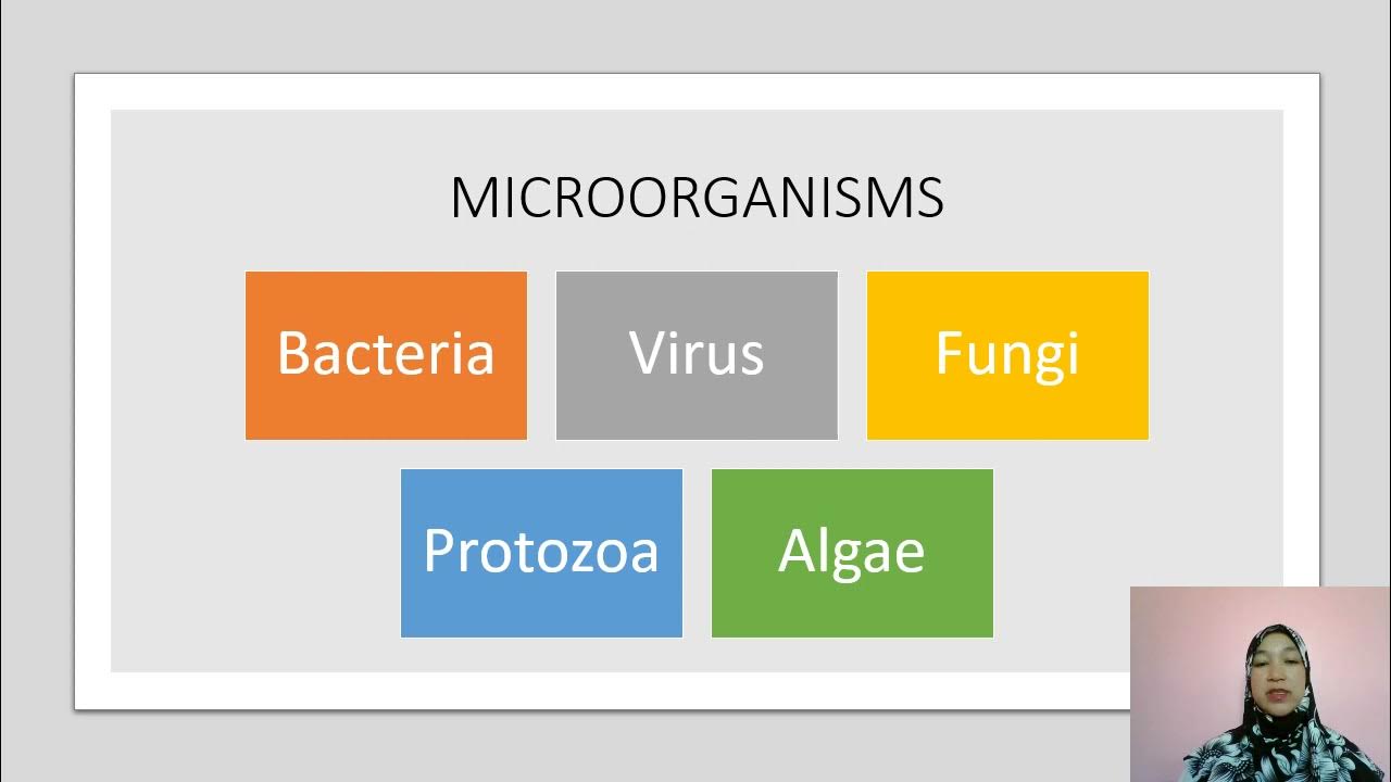 DEFINE MICROBIOLOGY YouTube