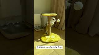 Compact & Cute: Adorable Cat Scratching Post Toy for Your Kitty!