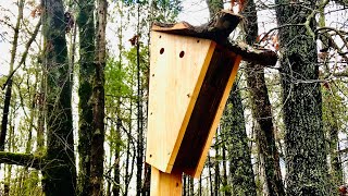 Peterson style bluebird nesting box