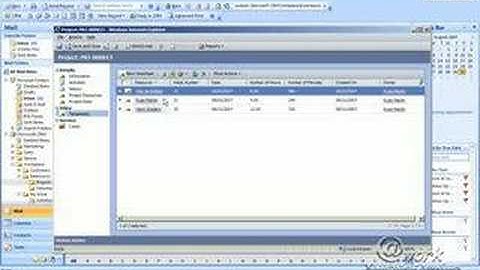 Microsoft Dynamics CRM Project and Timeshet Add-on