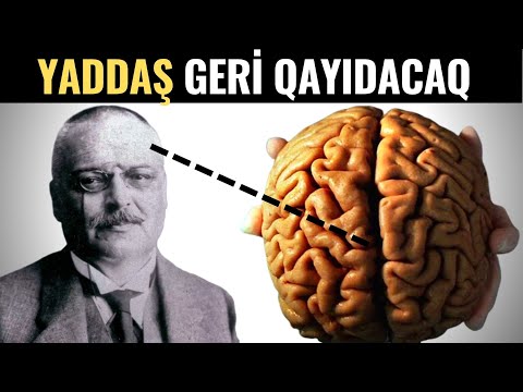 Video: Xovlu ağacdələnlər nə vaxt cütləşirlər?