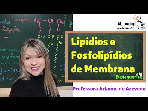 Vídeo: O que pode passar rapidamente pelos fosfolipídios?