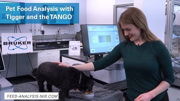 Pet Food Analysis with Tigger and the TANGO