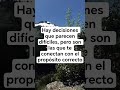 ¿Te da miedo elegir? 🛣️🙏