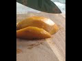 My First Video| Fruit Custard Recipe