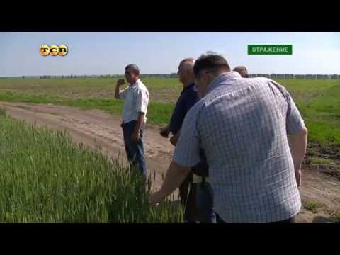 Феномен в сельском хозяйстве ПМР