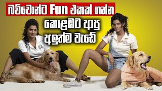 බව්වොන්ට Fun එකක් ගන්න කොළඹට ආපු අලුත්ම එක | Oh My Dog | Pet Talk by Pet Talk 15,522 views 1 month ago 23 minutes