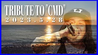 TRIBUTE TO 
