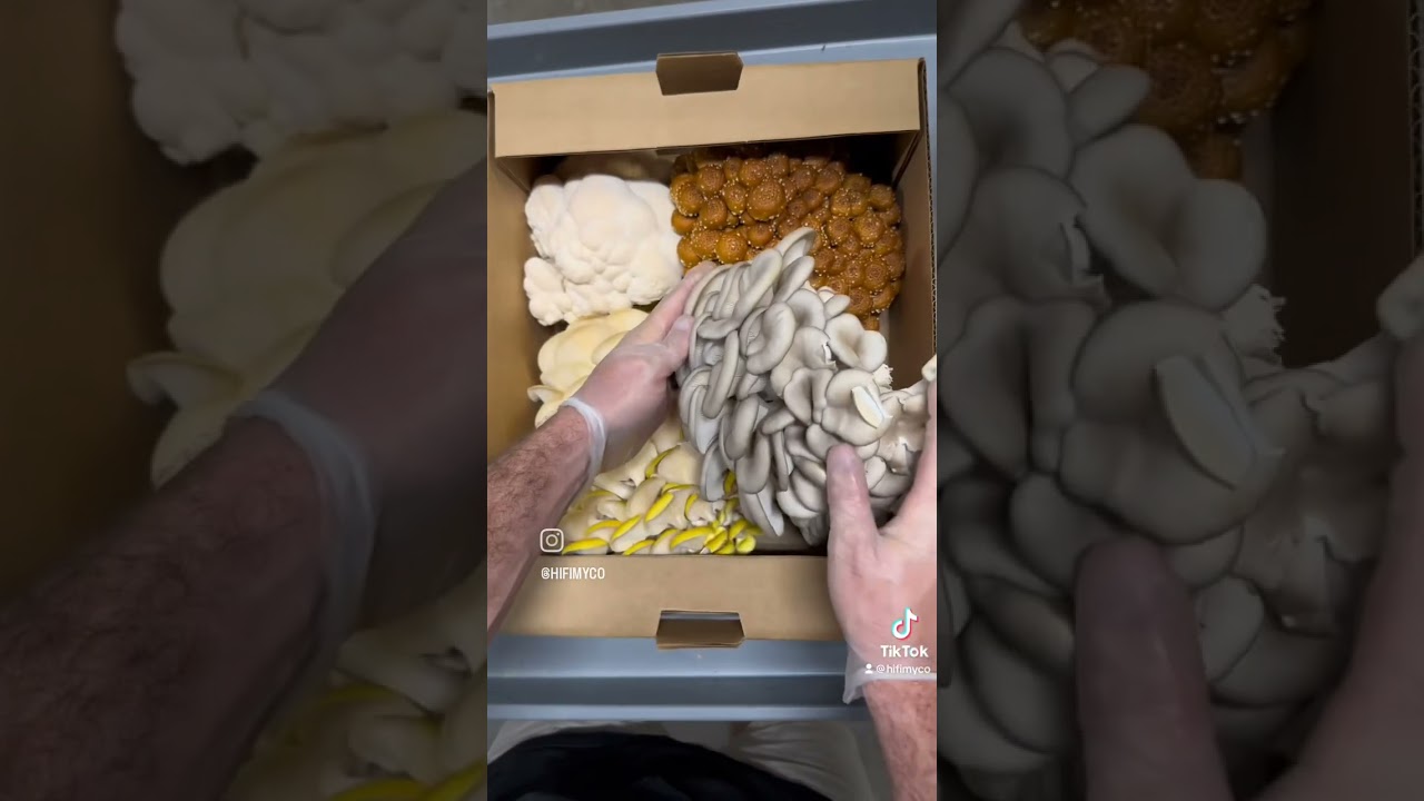 Just a day at the farm.