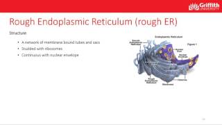 1014MSC mod1 Topic 1 1 Cell structure and Function 17min