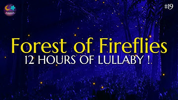Lullaby for babies to go to sleep - Forest of Fireflies Light - Baby Lullaby #19