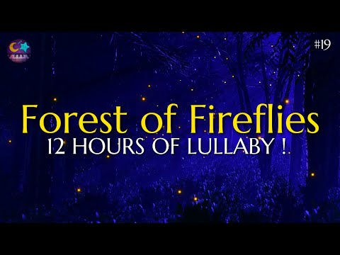 Lullaby for babies to go to sleep - Forest of Fireflies Light - Dark screen #19