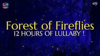 Forest of Fireflies Light - Lullaby for babies to go to sleep - Lullaby songs #19 screenshot 2