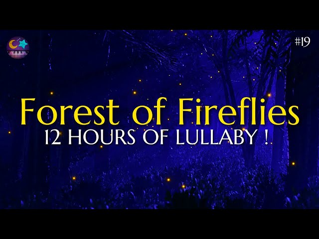 Forest of Fireflies Light - Lullaby for babies to go to sleep - Lullaby songs #19 class=