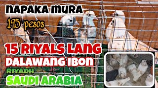 NAPAKA MURANG YELLOW BAR 15 SAUDI RIYALS = 195 PESOS ONLY RIYADH SAUDI ARABIA BIRD MARKET