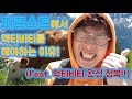 [스위스]피르스트 액티비티 완전 정복(feat. 미친힐링감)