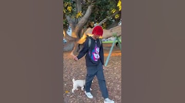 DC The Don - All I Know (CDQ Snippet)