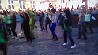 P1011381.AVI
