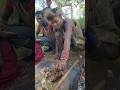 Hadzabe eating meat  BBQ