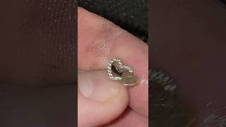 Бью пляж! #gurnik777 #гурникпляжник #grnk #серебро #золото #пляжныйпоиск #metaldetecting #клад #коп