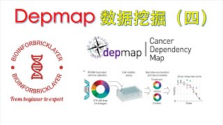【生信进阶之路｜资源篇 05】Depmap 数据库挖掘之小分子药物筛选