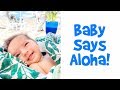 Baby Says Aloha! - Ballinger Family Goes to Hawaii Day 3