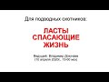 Ласты для подводной охоты от В. Докучаева. Запись прямого эфира от 10.04.20г.