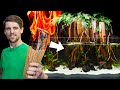 Firewood Made an Incredible Aquascape? Yes.