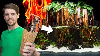 Firewood Made an Incredible Aquascape? Yes.