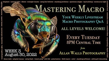 Mastering Macro Photography - Week 4 - 9/6/22
