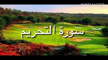 سورة التحريم بصوت الشيخ 🌹معاذ محمد طه