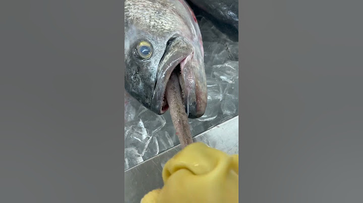 #viral #parati pescado se comió un pescado nooo😮