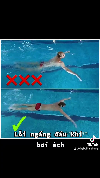 Học bơi ếch: Lỗi ngẩng cao đầu khi bơi ếch