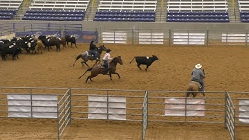 Team Penning #7 2nd Go - 2019 USTPA Panhandle Pen & Sort (CENSORED)