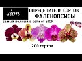 Орхидея ФАЛЕНОПСИС | ОПРЕДЕЛИТЕЛЬ СОРТА | Orchid Phalaenopsis. Qualifier of a grade. орхидеи orchids
