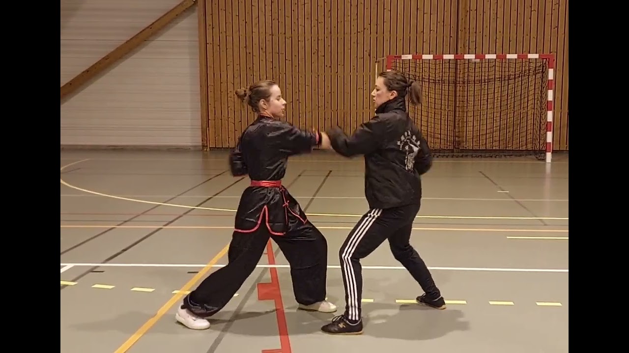 Technique de Fatsan Pakmei Kung-fu ❤️‍🔥 explosivité et férocité 👊🏼