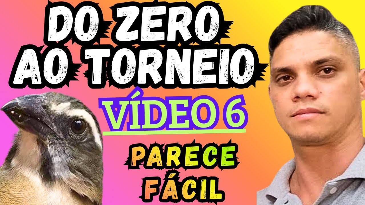🏆MEXIDA DE TRINCA FERRO ( DO ZERO AO TORNEIO VÍDEO 6 )