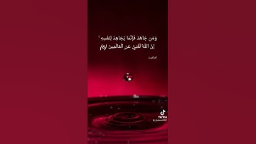 من مطالع العنكبوت تلاوة الشيخ عبدالله بصفر #quran