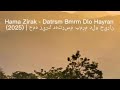 Hama Zirak Datrsm Bmrm Dlo Hayran 2025 حمه زيرك ده ترسم بمرم دلو حيران