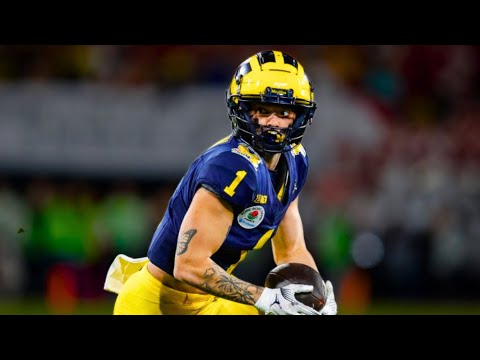 Roman Wilson 2023 Michigan Highlights 〽️ || HD