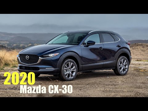 4 St/ück Schwarz CDEFG f/ür CX-30 CX30 2020 Schmutzf/änger Schlamm spritzwassergesch/ützte Platte Spritzschutz Kotfl/ügel Auto Zubeh/ör