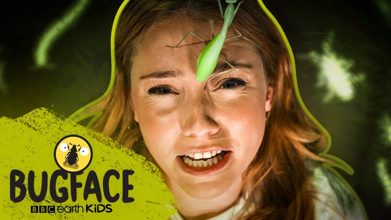 Rio Fredrika Faces A GIANT PRAYING MANTIS! | Bugface | BBC Earth Kids