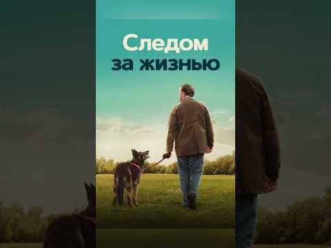 Топ самых грустных сериалов #кино #сериал #сериал2025