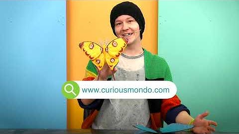 Flying Fabric Friends with Fabric Hardener - Nikolas Kienitz