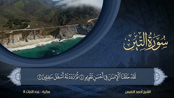 95 | سورة التين | الشيخ أحمد النفيس