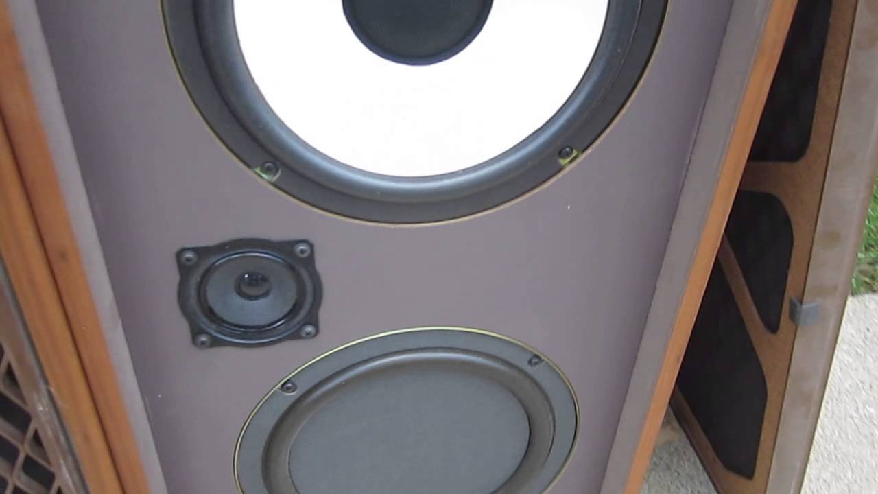 realistic nova 10 speakers