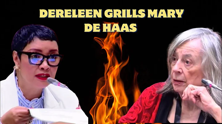 ActionSA MP Dereleen James Grills Mary De Haas at the Ad Hoc committee 