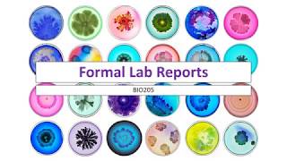 BIO205 - Formal Lab Report Instructions